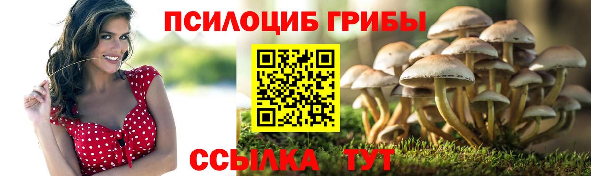 Псилоцибиновые грибы GOLDEN TEACHER Иркутск